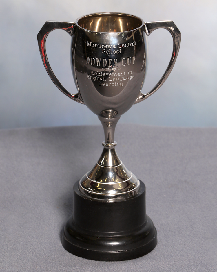 Picture of Contribution to Cultural Activity recipient